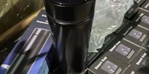Temperature Water Bottle
