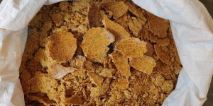 Maize Oil Cake