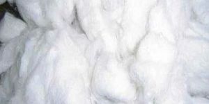 Indian Raw Cotton