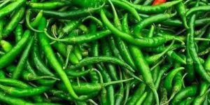 Organic Fresh Green Chilli