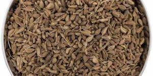 Dried Carom Seed