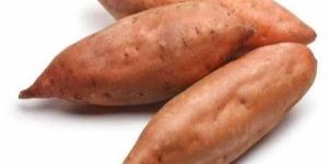 Fresh Sweet Potato