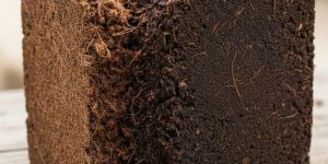 Coco Peat 5kg Blocks