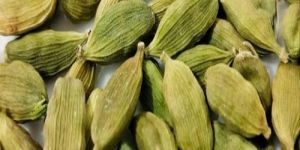 Green Cardamom
