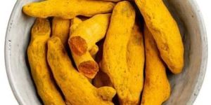 Double Polished Turmeric Finger