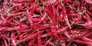 Teja S17 Dried Red Chilli