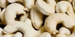 Premium Cashew Nuts