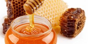 Pure Wild Honey