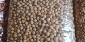 Soya Bean