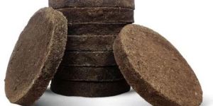 Cow Dung Cakes