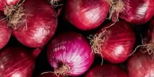 Fresh Red Onion