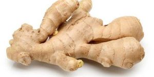 Ginger