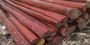 a Grade Red Sandalwood Logs