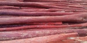 B Grade Red Sandalwood