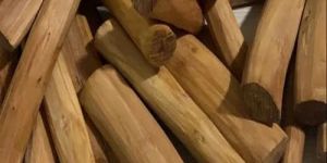 White Sandalwood Logs