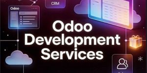 Odoo ERP Customization Services