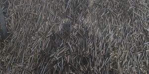 Biomass Pellet