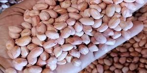Raw Peanut Kernel