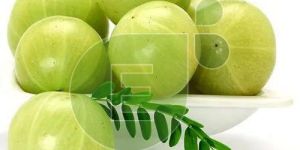 Fresh Amla