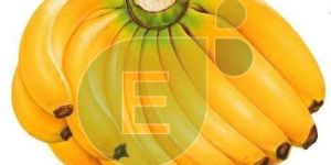 Fresh Banana