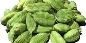 Green Cardamom