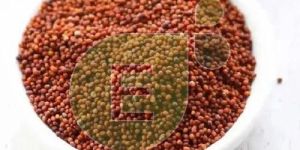 Red Mustard Seeds