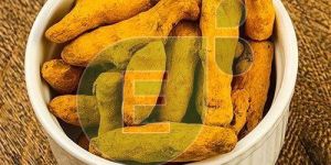 Turmeric Finger