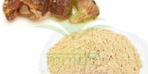 Guggul Extract Powder