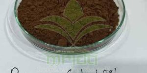 Papaya Leaf Extract Powder