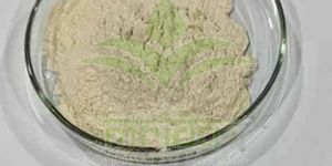 Salai Guggul Extract