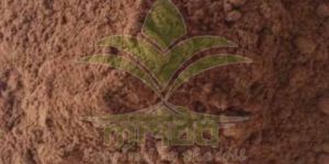 Saraca Ashoka Dry Extract