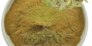 Senna Leaf Extract Powder