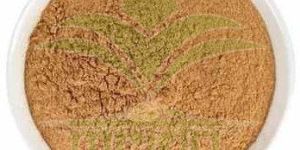 Shatavari Dry Extract Powder