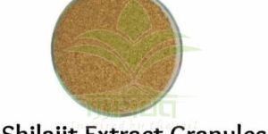 Shilajit Extract Granule