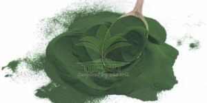 Spirulina Protein Powder