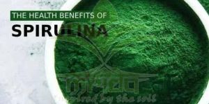 Spirulina Spray Dried Powder
