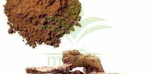 TERMINALIA ARJUNA EXTRACT