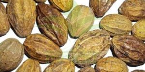Terminalia Chebula Harde Extract