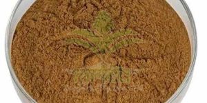 Tribulus Terrestris Extract Powder