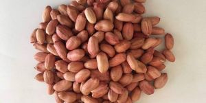 Peanuts