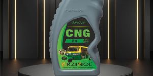 CNG 2t Engine Oil