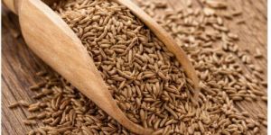 Cumin Seed