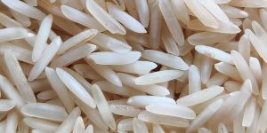 1509 White Raw Rice