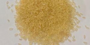 Sona Masoori Steam Rice