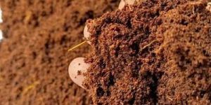 High EC Coco Pith Powder