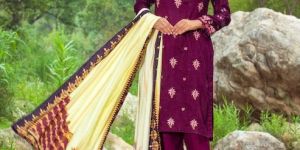 Ladies Maroon Embroidered Suit Set