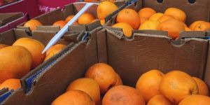 Corrugated Fruit Packing Box