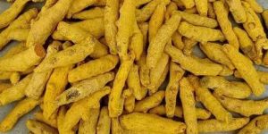 Natural Erode Turmeric Finger