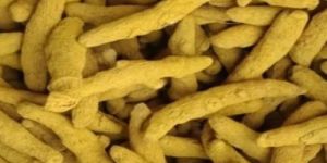 Rajapuri Turmeric Finger