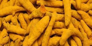 Organic Turmeric